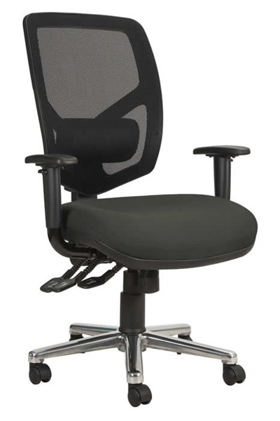 Haddon Bariatric Chair