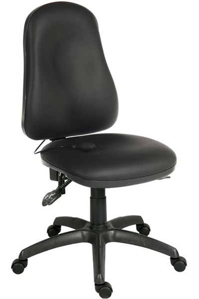 Ergo Comfort Executive Chair