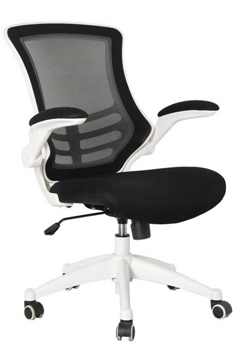 Ergo Mesh Chair
