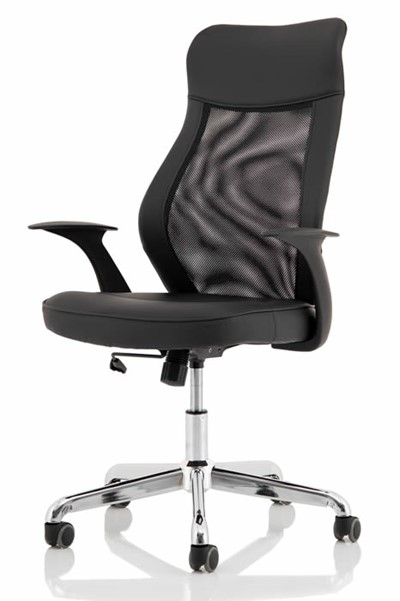 Baye Mesh Office Chair