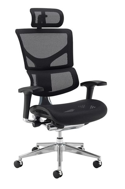 Dynamo Ergo Mesh Office Chair