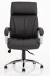 Aspartan Executive Office Chair