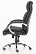 Aspartan Executive Office Chair