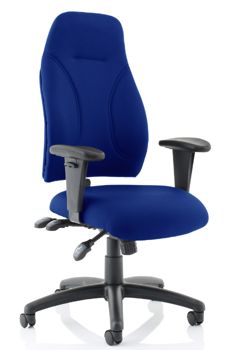 View Blue Ergonomic Fabric Posture Chair Ratchet Height Adjustable Backrest Height Adjustable Arms Deeply Padded Sculptured Seat information