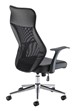 Ergonomis Mesh Office Chair