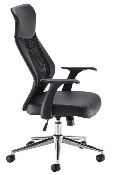 Ergonomis Mesh Office Chair