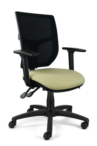 Ergo Supreme Mesh Office Chair