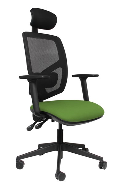 High Back Mesh Office Chair Seat Slide Adjustable Backrest Ergo Fix