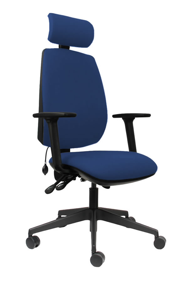 View Blue High Back Ergonomic Executive Desk Home Office Chair Ratchet Height Backrest Seat Tilt Seat Slide Adjustable HeadrestErgo Sit information