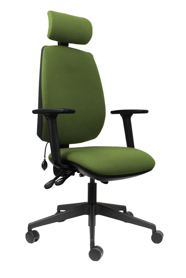 View Green High Back Ergonomic Executive Desk Home Office Chair Ratchet Height Backrest Seat Tilt Seat Slide Adjustable HeadrestErgo Sit information