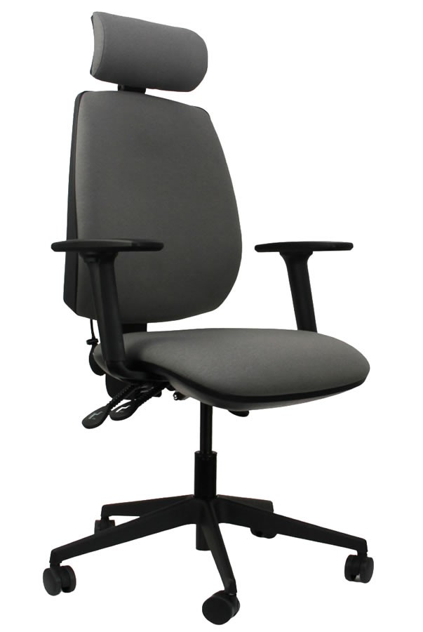 High Back Lumber Support Office Chair - Seat Tilt - Ergo Sit
