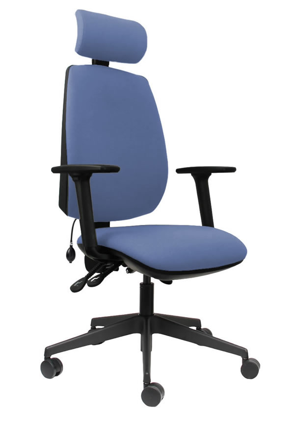 View Light Blue High Back Ergonomic Executive Desk Home Office Chair Ratchet Height Backrest Seat Tilt Seat Slide Adjustable HeadrestErgo Sit information