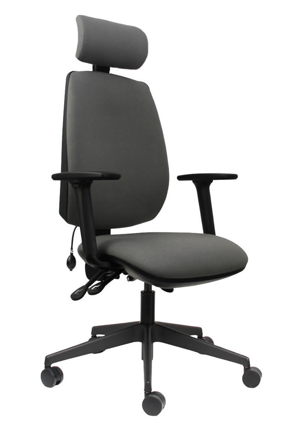 View Grey High Back Ergonomic Executive Desk Home Office Chair Ratchet Height Backrest Seat Tilt Seat Slide Adjustable HeadrestErgo Sit information