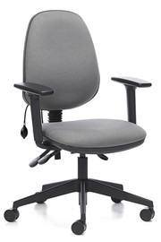 Ergo Lumber Support Office Chair - Grey 