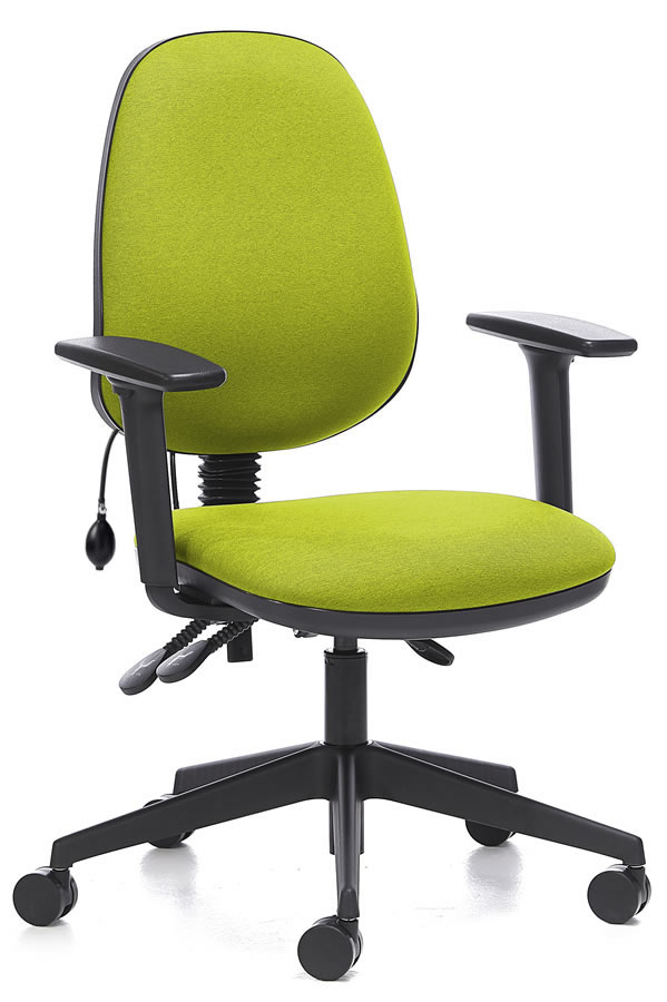 View Green Ergo Lumber Fabric Computer Desk Chair Independent Seat Ergonomic Inflatable Lumbar Back Pain Support Adjustable Arms 5 Year Guarantee information