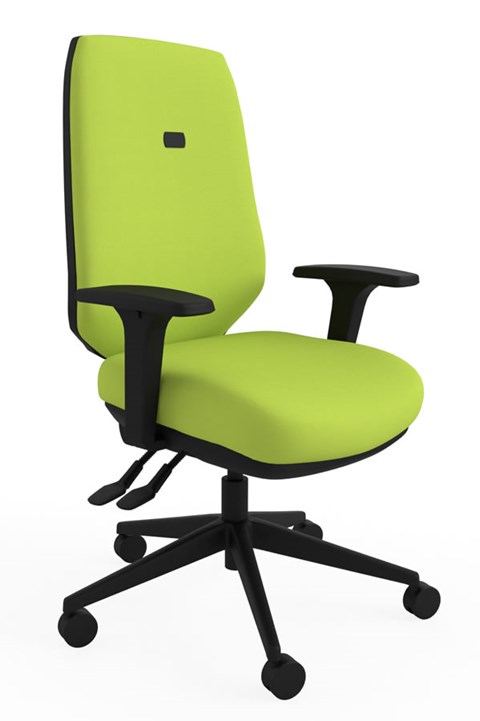 Ergo Flex Ergonomic Chair