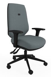 Ergo Flex Grey Ergonomic Chair
