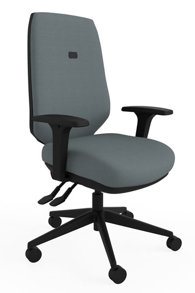 Ergo Flex Ergonomic Chair