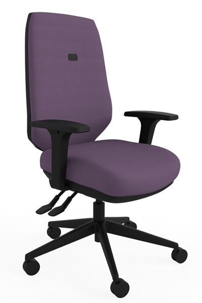 Ergo Flex Ergonomic Chair