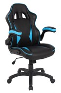 Black/Blue