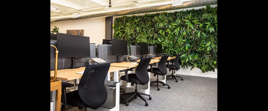 Best Office Chairs for Back Pain 2025