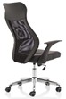 Baye Mesh Office Chair