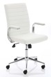 Ezra Executive Home Office Chair