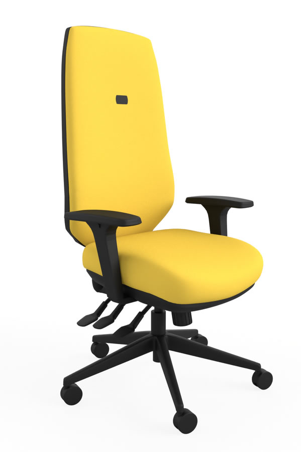 View Yellow Ergo Adjust High Back Office Chair Infinitely Locking Seat Backrest Seat Slide Inflatable Lumbar Height Depth Adjustment information