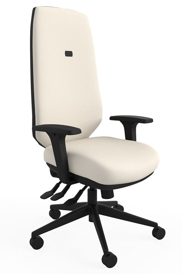 View Cream Ergo Adjust High Back Office Chair Infinitely Locking Seat Backrest Seat Slide Inflatable Lumbar Height Depth Adjustment information