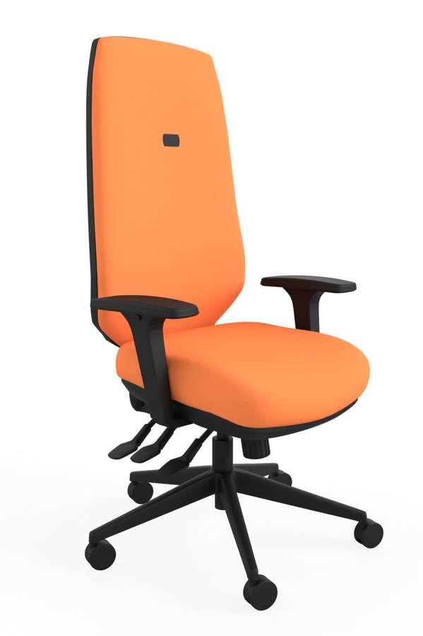 View Orange Ergo Adjust High Back Office Chair Infinitely Locking Seat Backrest Seat Slide Inflatable Lumbar Height Depth Adjustment information