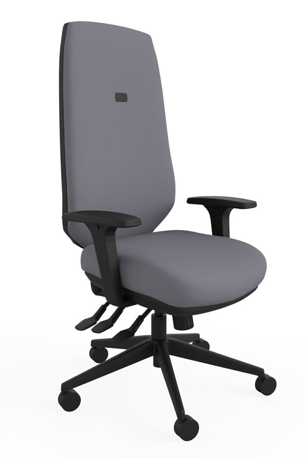 View Grey Ergo Adjust High Back Office Chair Infinitely Locking Seat Backrest Seat Slide Inflatable Lumbar Height Depth Adjustment information