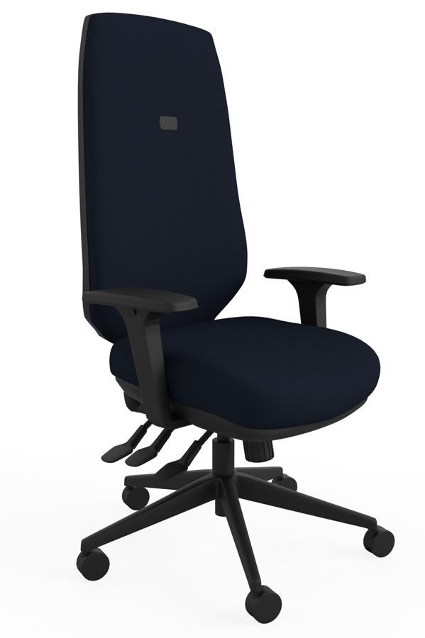 View Black Ergo Adjust High Back Office Chair Infinitely Locking Seat Backrest Seat Slide Inflatable Lumbar Height Depth Adjustment information