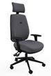 Saturn Ergonomic Padded Office Chair