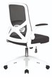 Oyster Folding Arm Office Chair