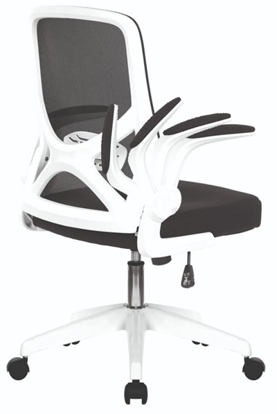 Oyster Folding Arm Office Chair