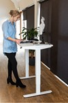 Mini Standing Desk