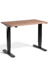 Mini Standing Desk