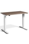 Mini Standing Desk