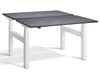Duo Two Person Height Adjustable Desk
