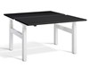 Duo Two Person Height Adjustable Desk