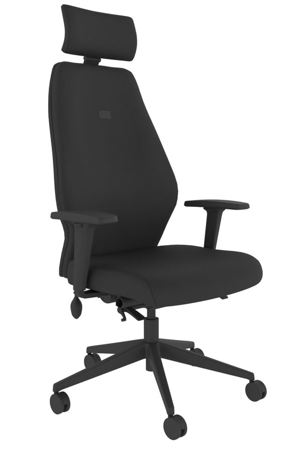 View Black Ergonomic Fabric Office Chair Independent Back Seat Adjustment 5 Year Guarantee Body Weight Mechanism Positive Posture information