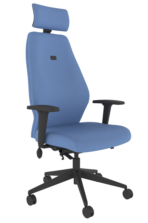 View Blue Ergonomic Fabric Office Chair Independent Back Seat Adjustment 5 Year Guarantee Body Weight Mechanism Positive Posture information