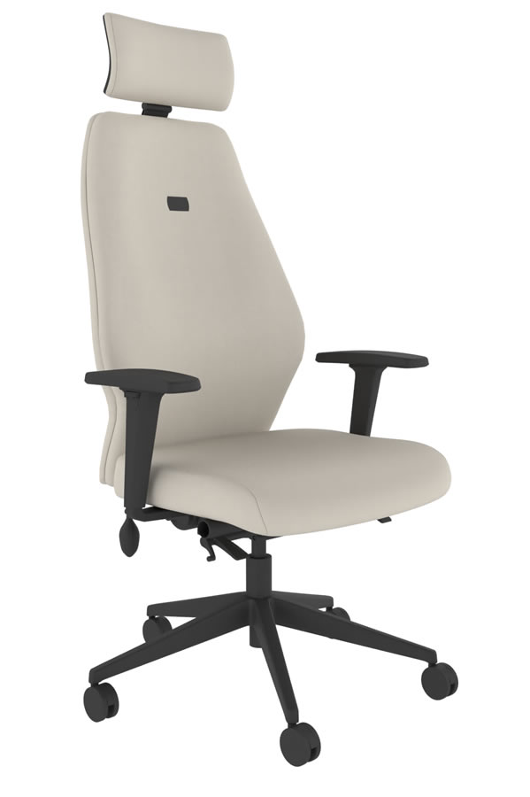 View Cream Ergonomic Fabric Office Chair Independent Back Seat Adjustment 5 Year Guarantee Body Weight Mechanism Positive Posture information