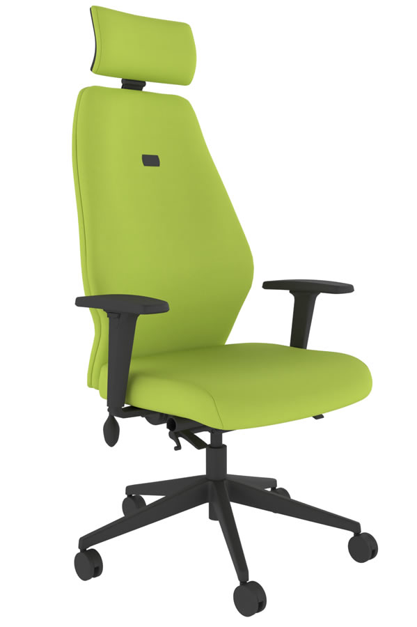 View Green Ergonomic Fabric Office Chair Independent Back Seat Adjustment 5 Year Guarantee Body Weight Mechanism Positive Posture information