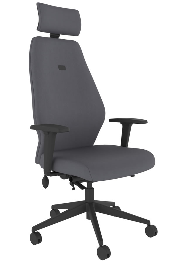 View Grey Ergonomic Fabric Office Chair Independent Back Seat Adjustment 5 Year Guarantee Body Weight Mechanism Positive Posture information