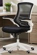 Ergo Mesh Chair