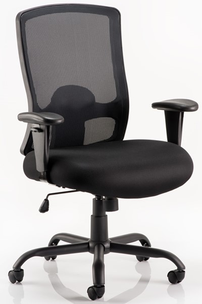 Atlas Bariatric Chair