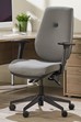 Ergo Flex Ergonomic Chair