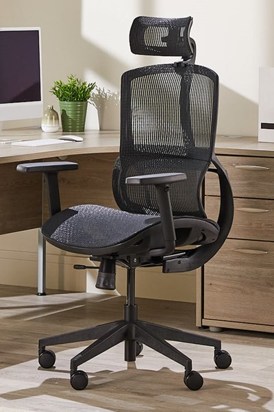 Mesh Ergonomic High Back Office Office Chair With Adjustable Headrest - Alto