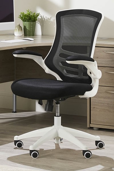 Ergo Mesh Chair